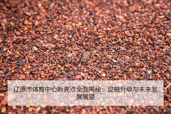 liao-yuan-shi-ti-yu-zhong-xin-xin-liang-dian-quan-mian-jie-mi-she-shi-sheng-ji-yu-wei-lai-fa-zhan-zhan-wang-2-881.jpg